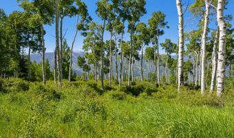 114 Goldenrod, Avon, CO 81620