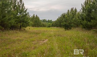Flowers Road, Bay Minette, AL 36507