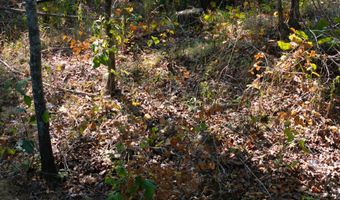 Cr 816, Blue Mountain, MS 38610
