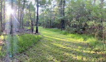 1441 Blue Meadow Rd, Bay St. Louis, MS 39520