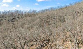 31 Reillys Bluff Rd 2, Barnardsville, NC 28709
