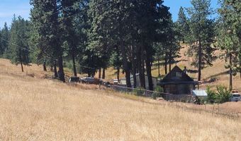 546 Edgehill Dr, Anatone, WA 99401