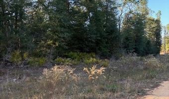 Arpana Circle lot # 1, Alford, FL 32420