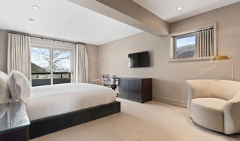 730 S Galena St, Aspen, CO 81611