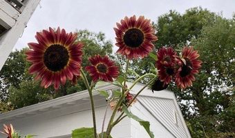 35 Heron, Boston, MA 02132