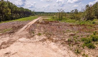 R53358 Tract 2 Hwy 94, Apple Springs, TX 75926