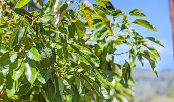 2030 Sparrow Valley Rd, Aptos, CA 95003