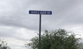 0 W Saddle Burr Rd 100, McNeal, AZ 85617
