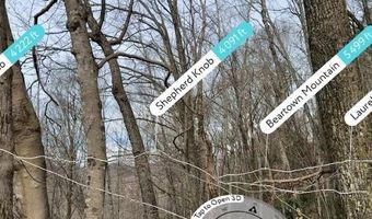 2 13 Acres Big Ridge Rd, Bakersville, NC 28705