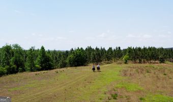County Road 231, Abbeville, AL 36310