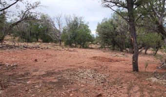 488 B & C Scorpion, Ash Fork, AZ 86320