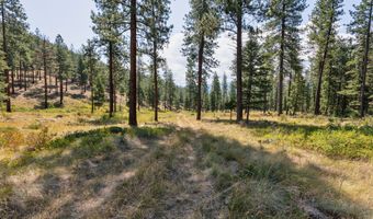 13902 Highland Trl, Alberton, MT 59820