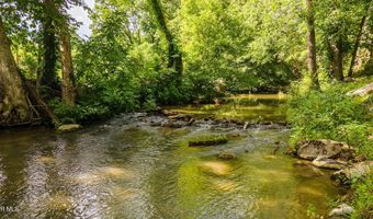 1075 Afton Rd, Afton, TN 37616