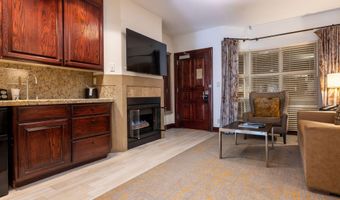 26 Avondale 211, Beaver Creek, CO 81620