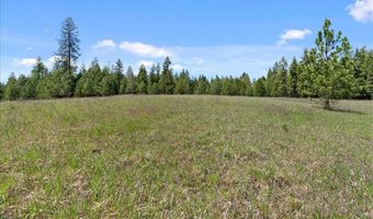 Nna Mesa Drive, Careywood, ID 83809
