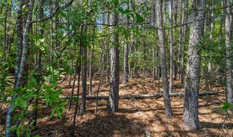 Boggs Road, Belton, SC 29627