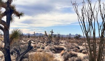 Lake Havasu Acres lot 166, Yucca, AZ 86438