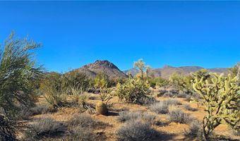 2 B S Cattle Crossing Rd, Yucca, AZ 86438