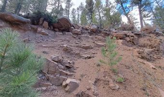 1077 Roland Dr Lot 3, Bailey, CO 80421