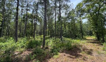 Fox Paw Court, Branchville, SC 29432