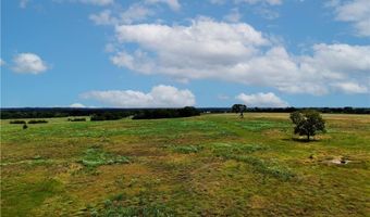 Tbd Tract 4 Fm-2819, Anderson, TX 77830