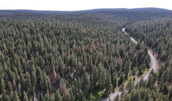 California Pines Boulevard, Alturas, CA 96101