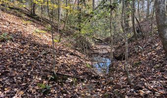 523 Honey Creek Loop Rd, Allardt, TN 38504