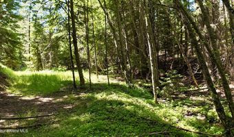 1710 Tower Mountain Rd, Blanchard, ID 83804
