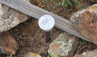 Birdwing Lane, Clay Springs, AZ 85923