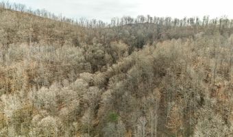 9999 Honeycutt Branch Turkey Crk, Barbourville, KY 40906