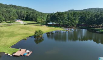 411 DR JENKINS Ln, Altoona, AL 35952
