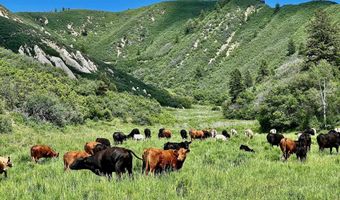 3465 TBD, Glenwood Springs, CO 81601