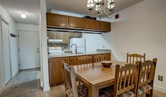 1001 Grandview Dr 11, Breckenridge, CO 80424