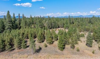 Lot 1 Dawson Lp, Athol, ID 83801
