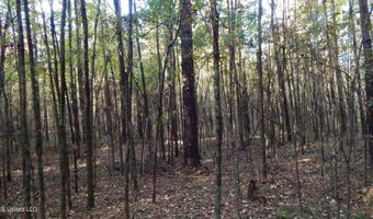 20 Ac. 9 Hwy, Bruce, MS 38915