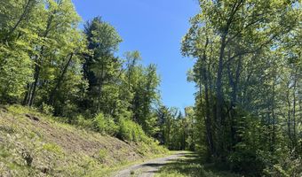 TALLMAN HOLLOW ROAD, Montoursville, PA 17754