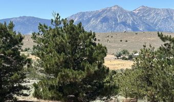 1515 Patrick Ct, Gardnerville, NV 89410