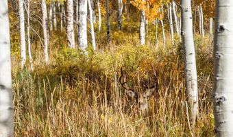 Tbd Spinnaker Lane, Basalt, CO 81621