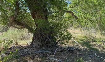 Carp Road, Caliente, NV 89008