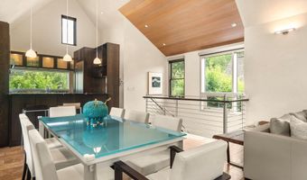 939 E COOPER Ave, Aspen, CO 81611