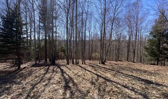 L22.2 Alder Pond Road, Andes, NY 13740