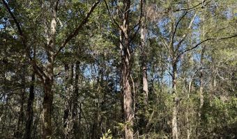 005 G Wallace Buie Rd, Ashford, AL 36376
