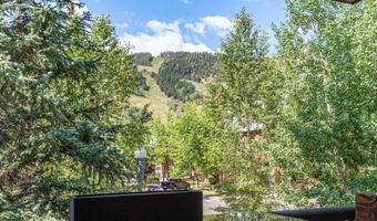 600 E Main St 301, Aspen, CO 81611