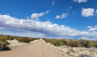 56 County Rd, Concho, AZ 85924