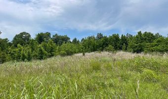 601 Calico Ct, Alberta, AL 36720