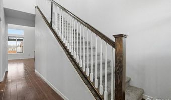 520 Cimarron Dr, Ault, CO 80610