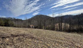 1135 Ned Clark Rd, Bean Station, TN 37708