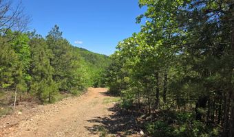 TR 18 & 19 LONG CREEK PASS, Albion, OK 74571