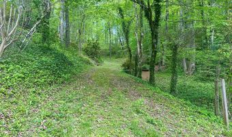 260 Prince Boat Dock Rd, Almond, NC 28702