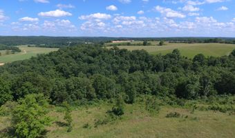 22017 E State Hwy 76, Ava, MO 65608